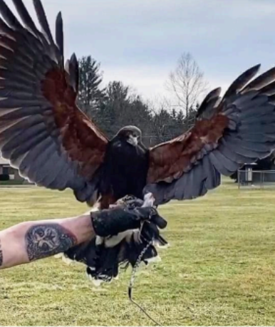 New Project - 2025-02-19T021825.383