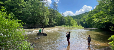 New Project - 2025-02-19T022233.002