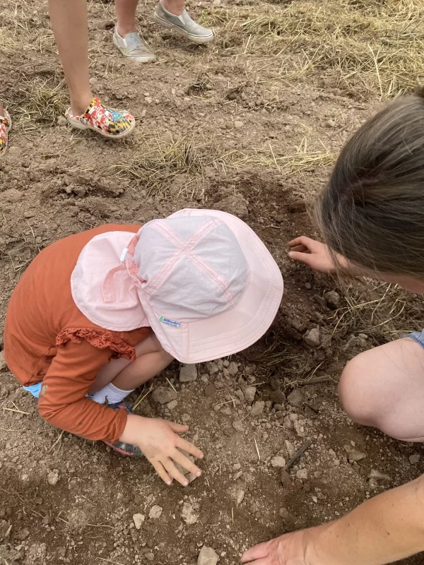 20250306210121_3-IMG_15681-ezgif.com-jpg-to-webp-converter