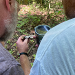 Learn how to positively ID edible wilds with All Earth Eco Tours in Garrett County Maryland