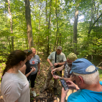 Learning as a group in a beautiful forest setting is wonderful.