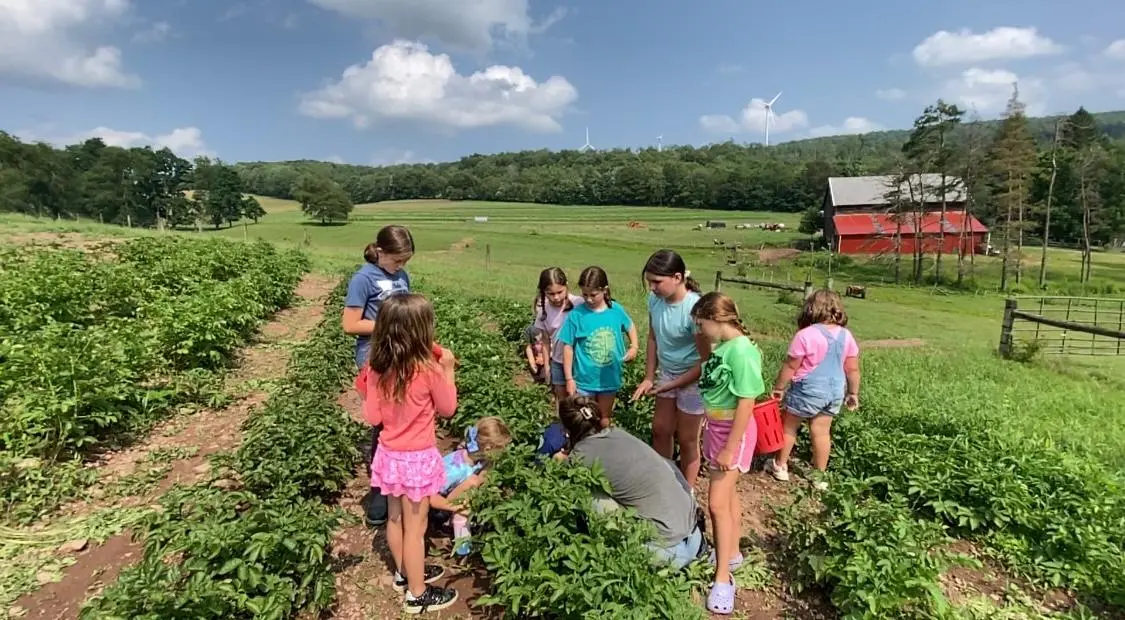 A group of children enjoys learning in a beautiful field on the idyllic Backbone Food Farm arm in Garrett County with All Earth Eco Tours.