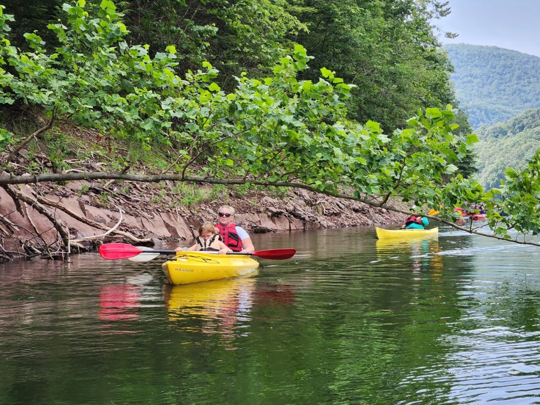 08d6e50b-b324-49ca-8096-5ec2133eebee