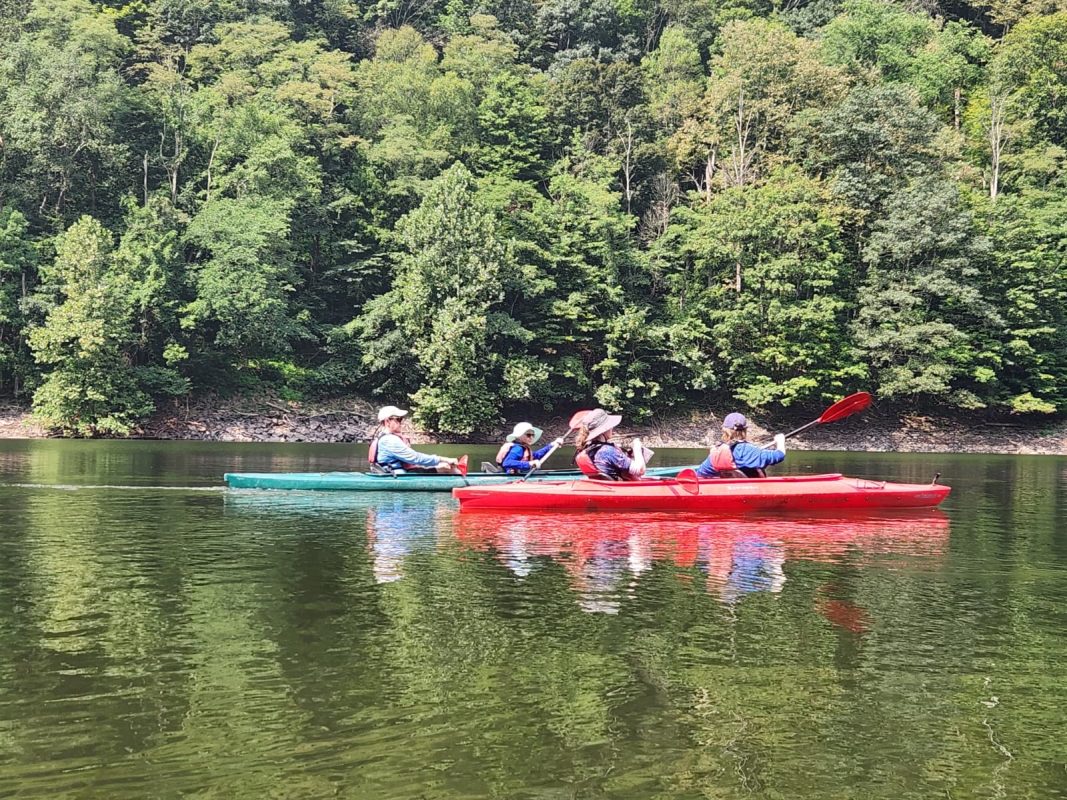 52c27bc1-529a-40c9-960e-0aba855a6180